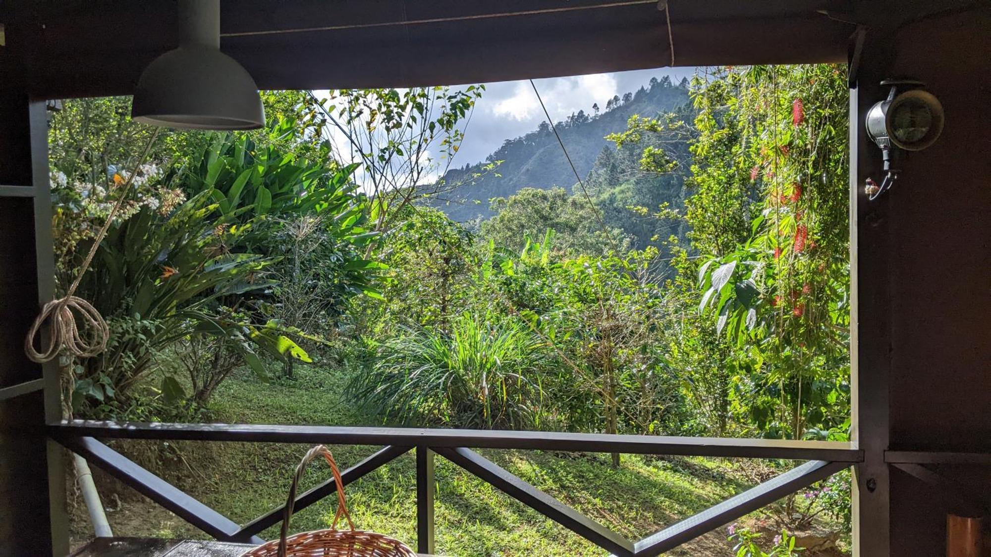 Mavis BankLime Tree Farm, Blue Mountains别墅 外观 照片