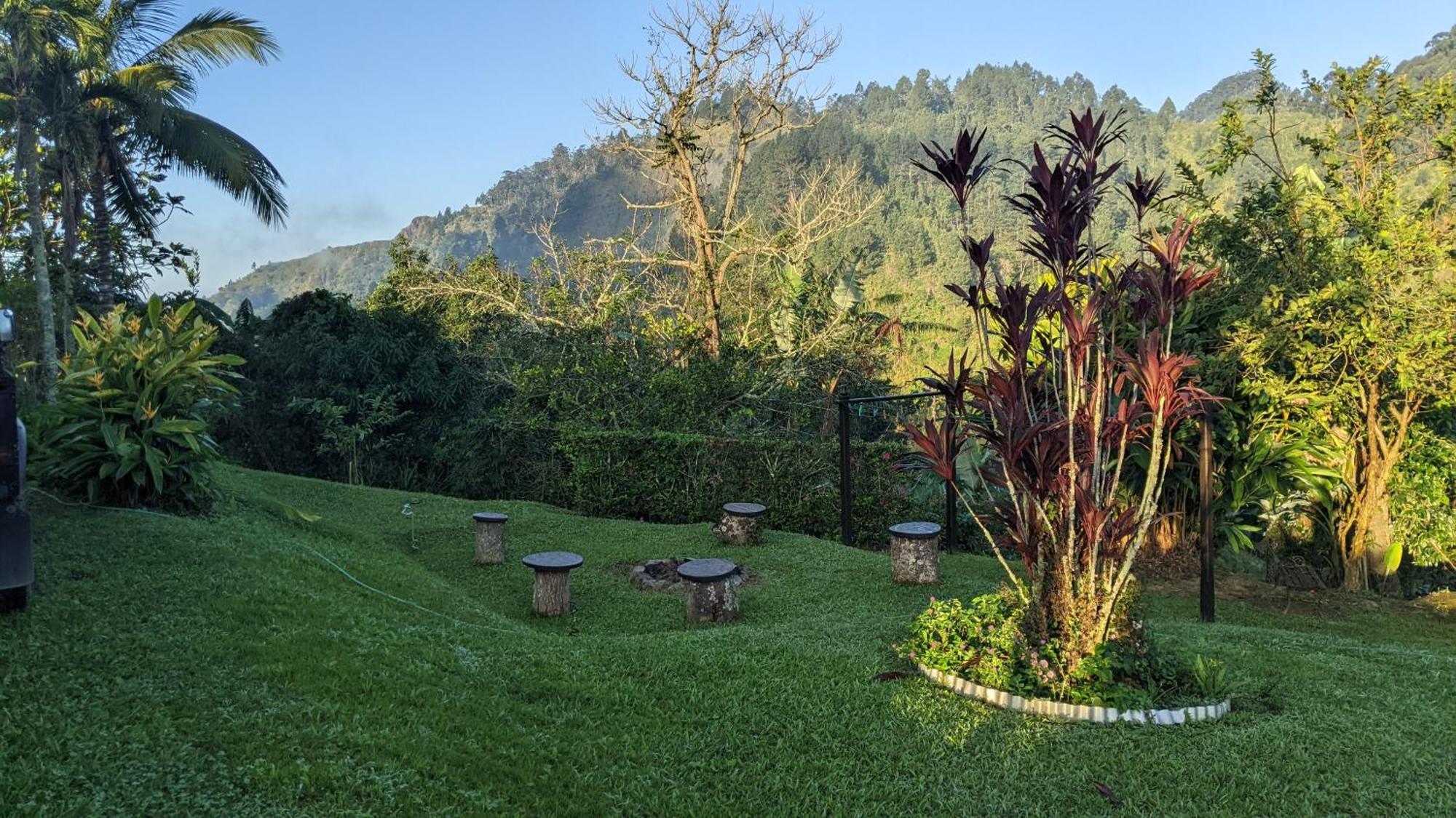 Mavis BankLime Tree Farm, Blue Mountains别墅 外观 照片