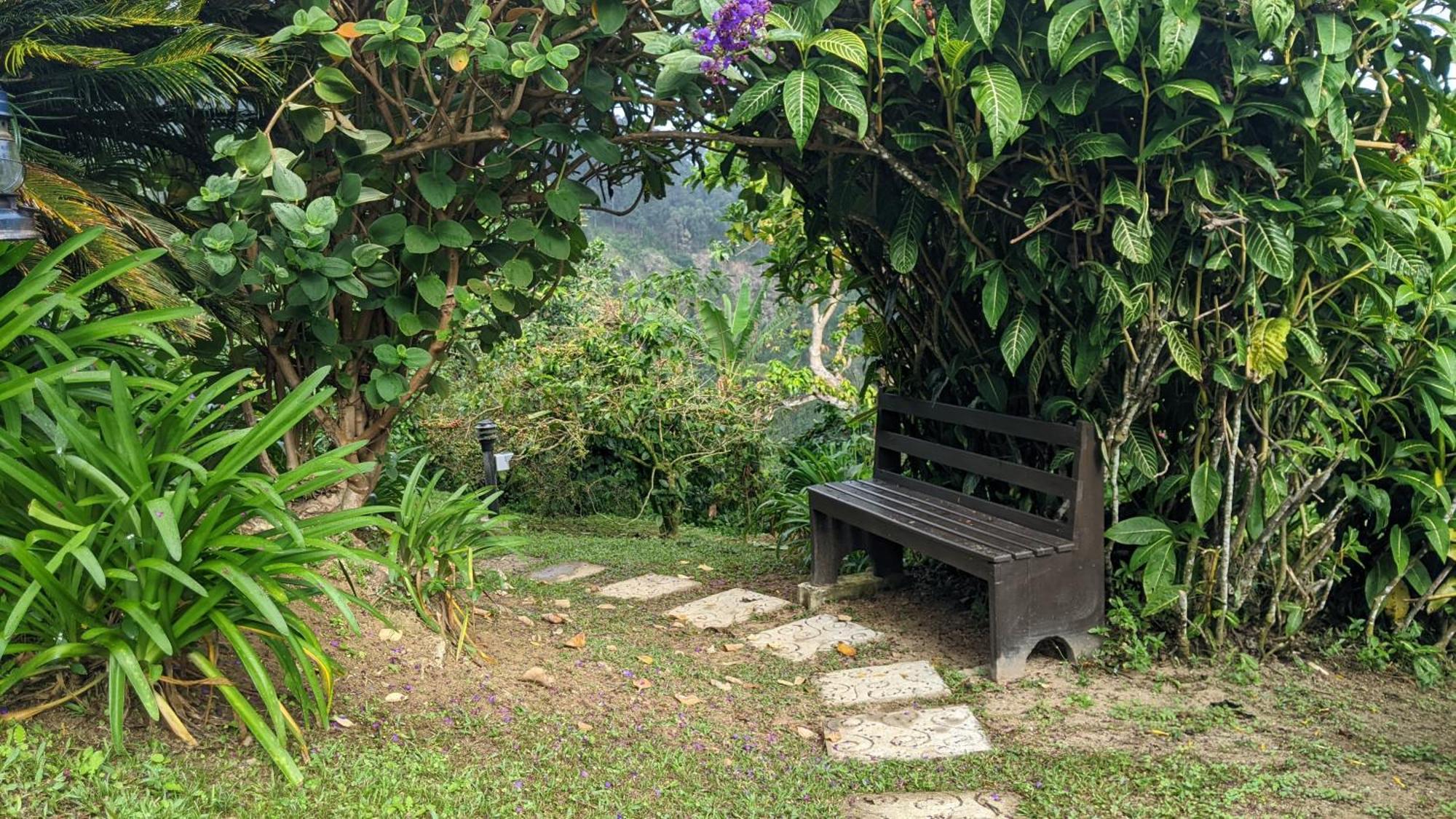 Mavis BankLime Tree Farm, Blue Mountains别墅 外观 照片